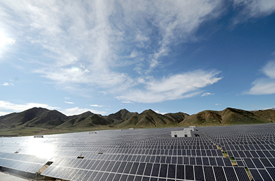 請(qǐng)?zhí)顚憳?biāo)題